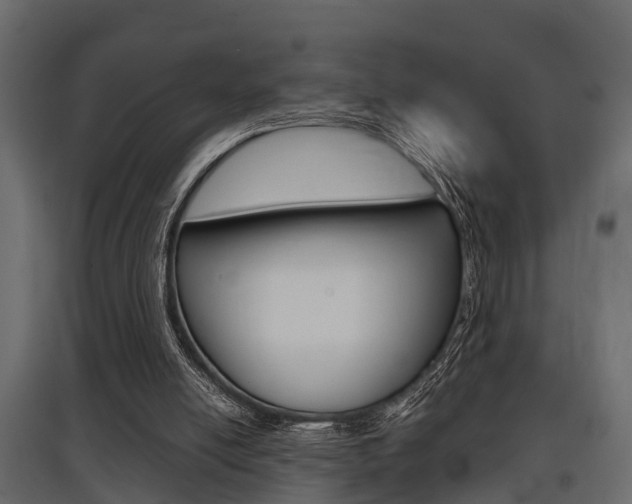 X0000097760054200803070846