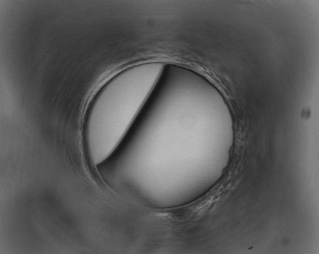 X0000097760055200803070846
