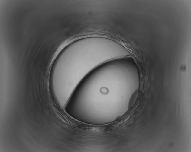 X0000097760056200803070846
