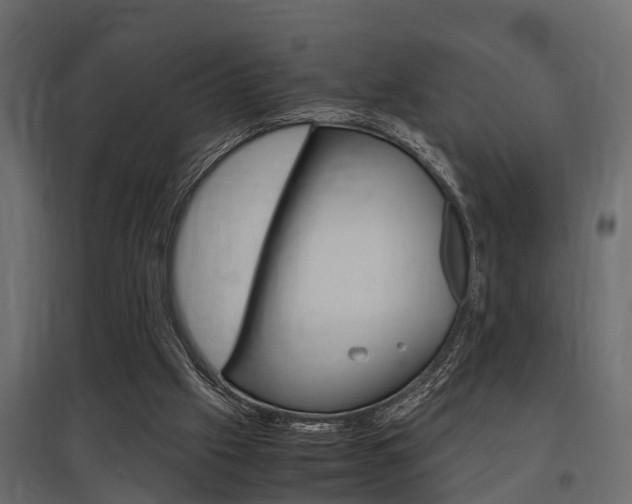 X0000097760057200803070846