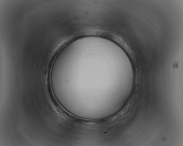 X0000097760058200803070846