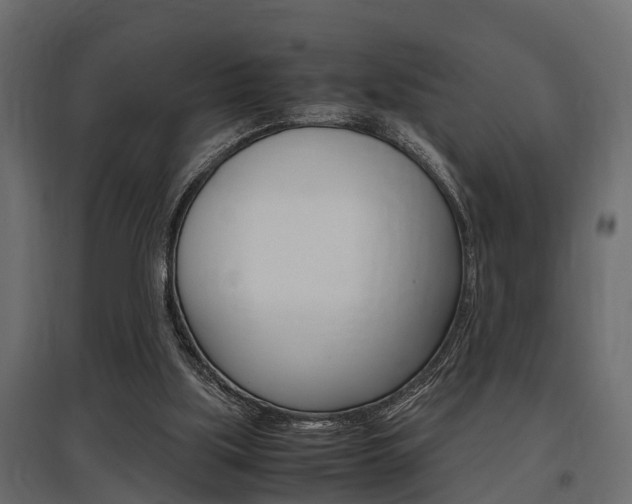X0000097760059200803070846