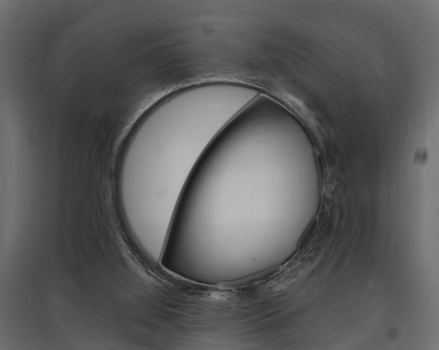 X0000097760060200803070846