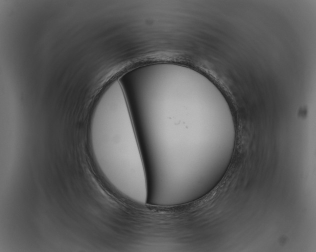 X0000097760062200803070846