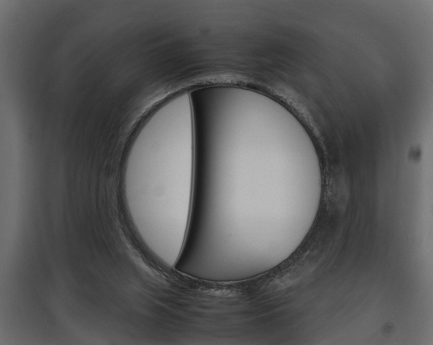 X0000097760063200803070846