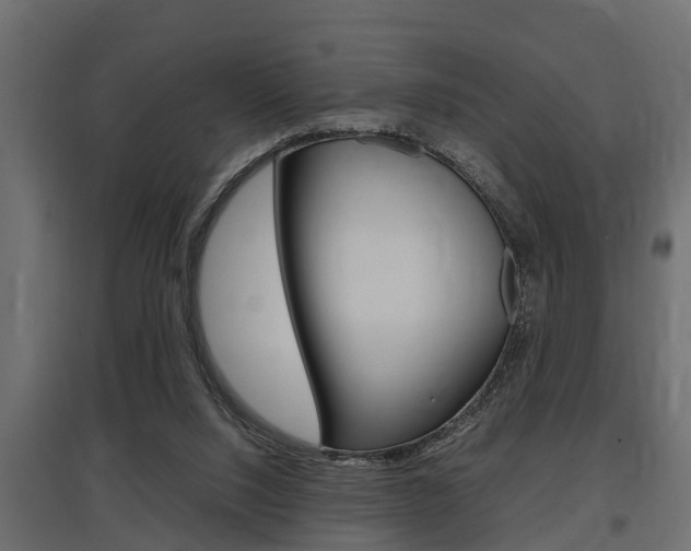 X0000097760064200803070846