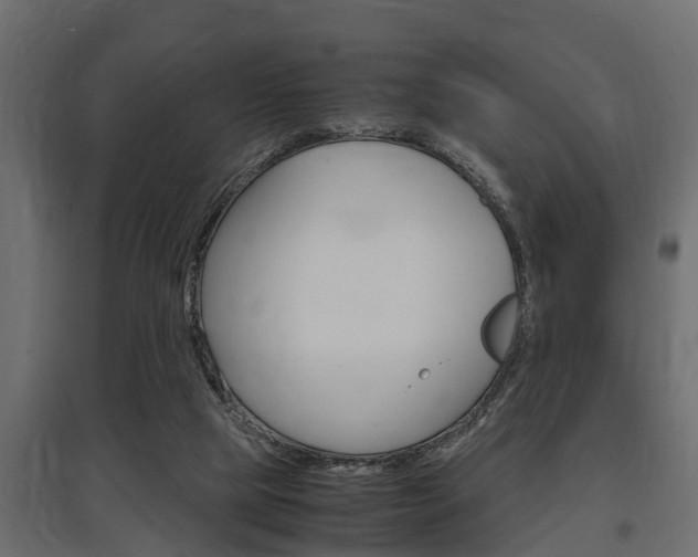 X0000097760065200803070846