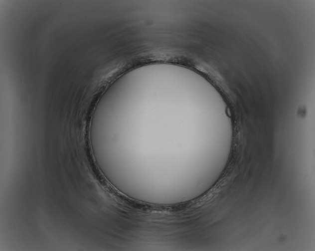 X0000097760066200803070846