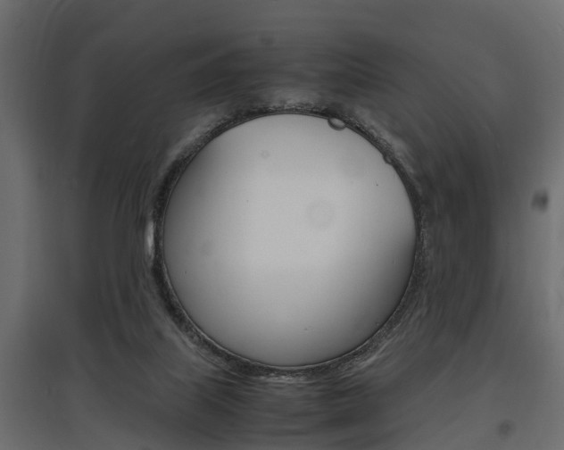 X0000097760067200803070846