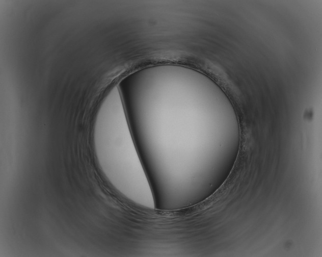 X0000097760068200803070846