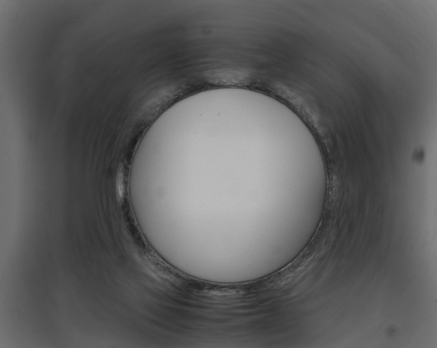X0000097760069200803070846