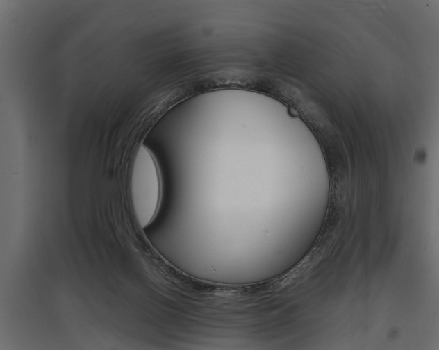 X0000097760070200803070846