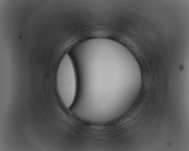 X0000097760071200803070846