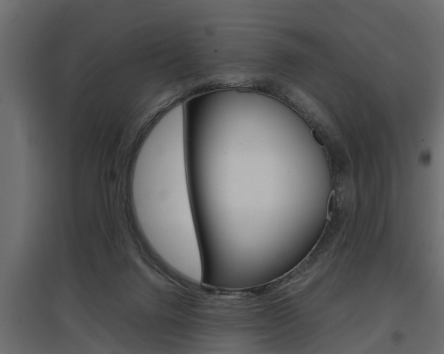 X0000097760072200803070846