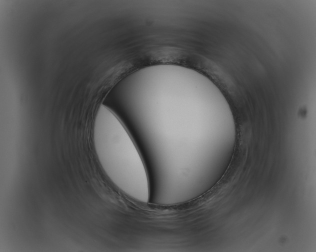 X0000097760073200803070846