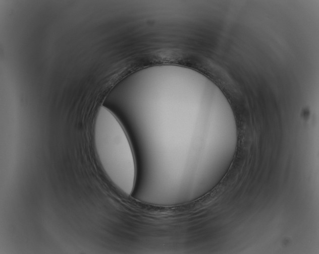 X0000097760075200803070846
