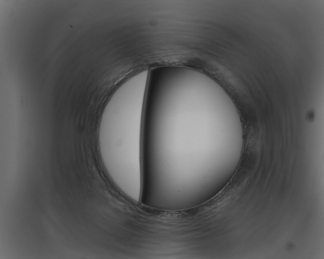 X0000097760076200803070846
