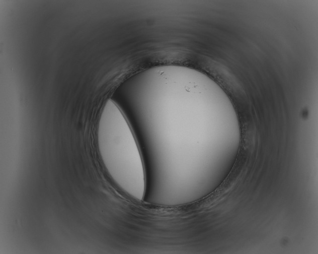 X0000097760077200803070846