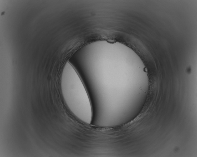 X0000097760078200803070846