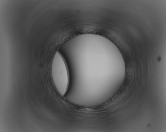 X0000097760079200803070846