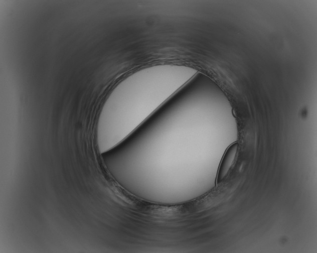 X0000097760081200803070846