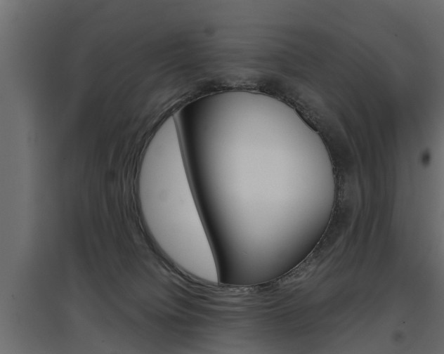 X0000097760084200803070847