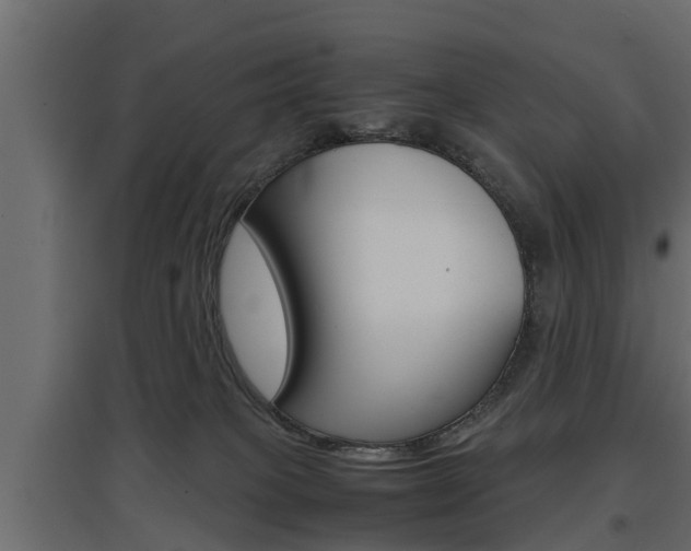 X0000097760085200803070847