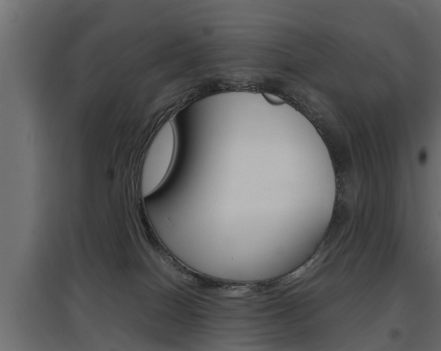 X0000097760086200803070847