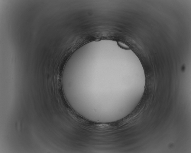 X0000097760087200803070847