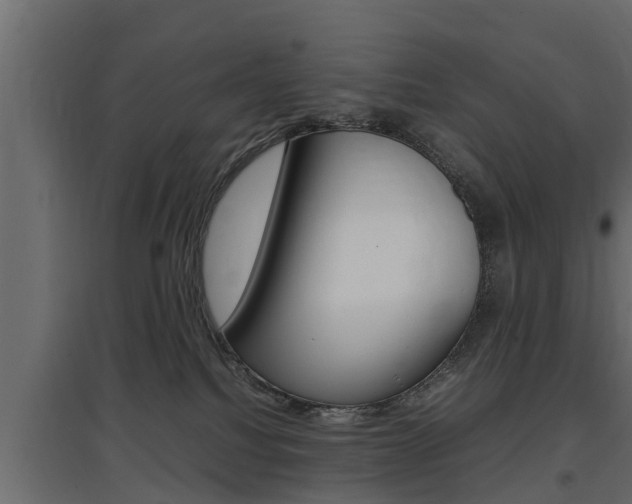 X0000097760088200803070847