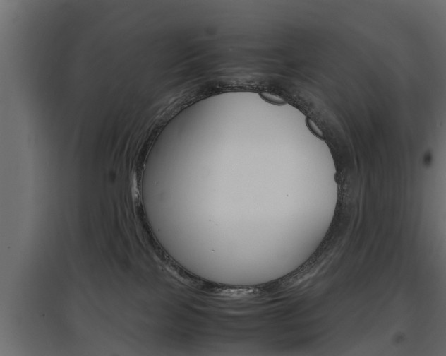 X0000097760089200803070847