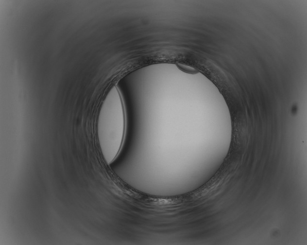 X0000097760091200803070847