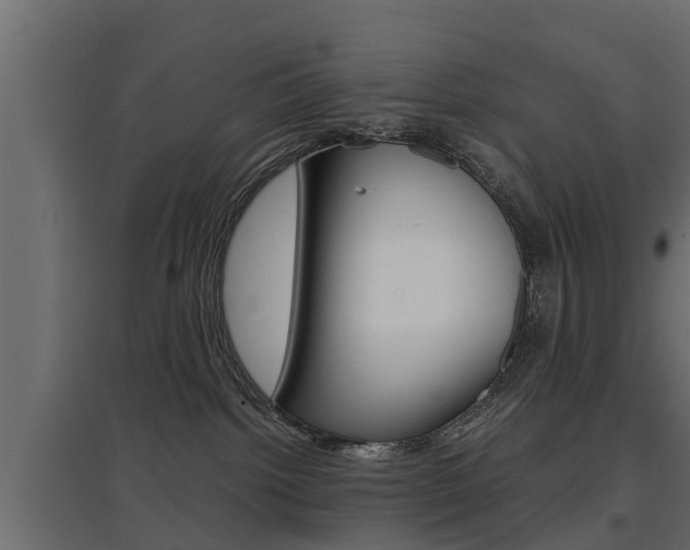 X0000097760092200803070847