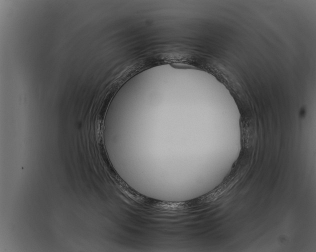 X0000097760093200803070847
