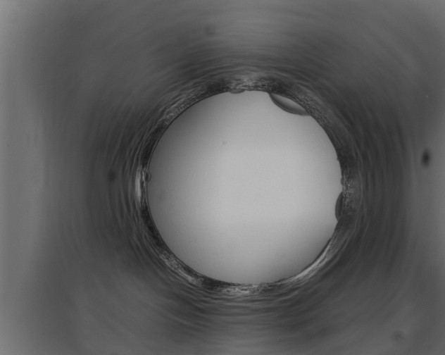 X0000097760094200803070847