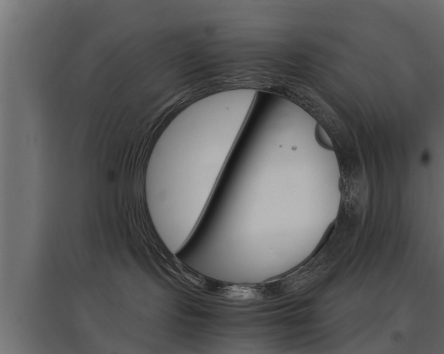X0000097760095200803070847