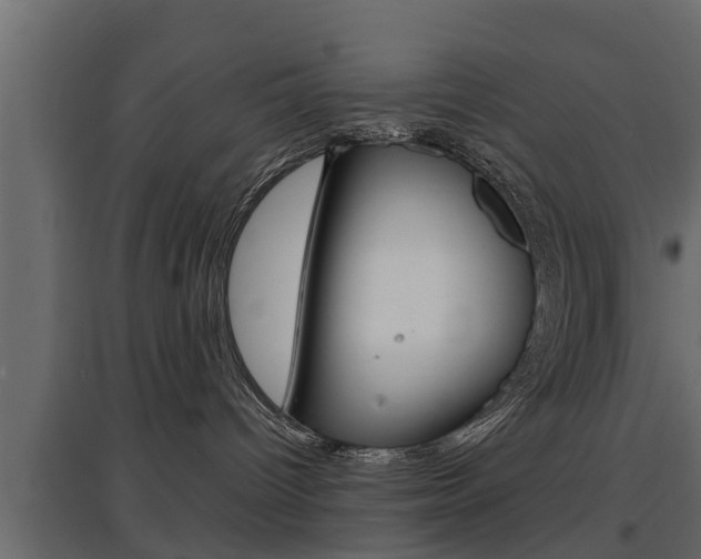 X0000097760096200803070847