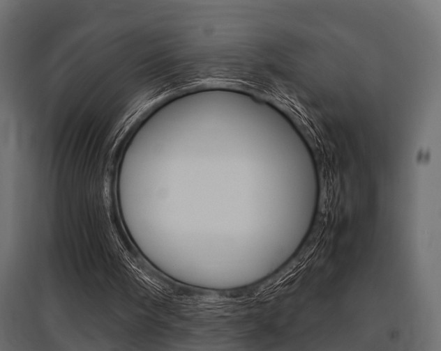 X0000097760098200803070846