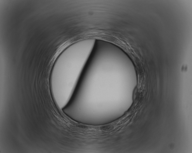 X0000097760099200803070846