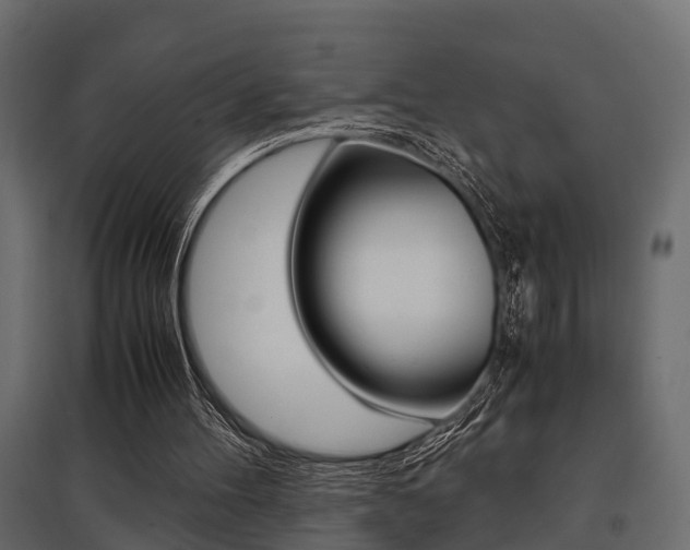 X0000097760100200803070846