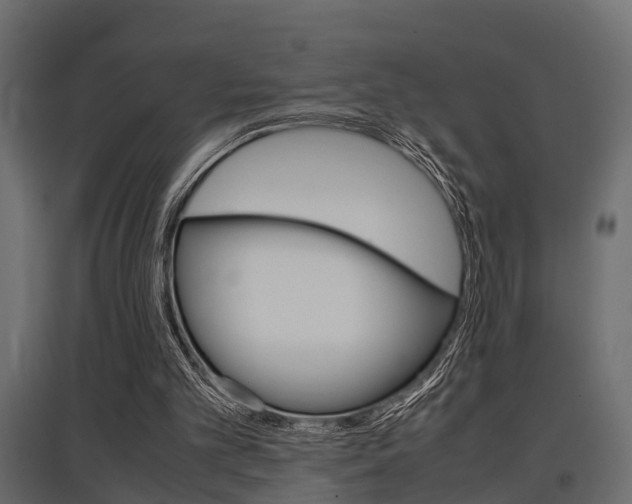 X0000097760101200803070846