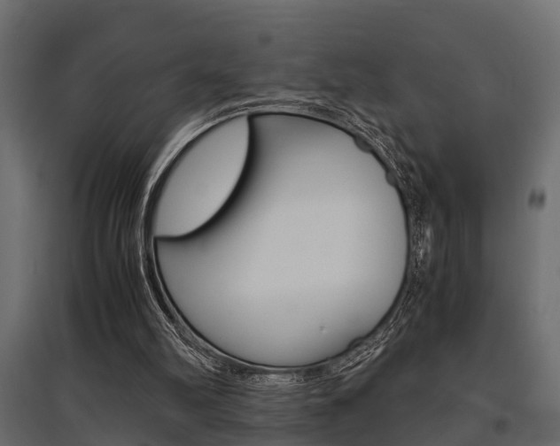 X0000097760102200803070846