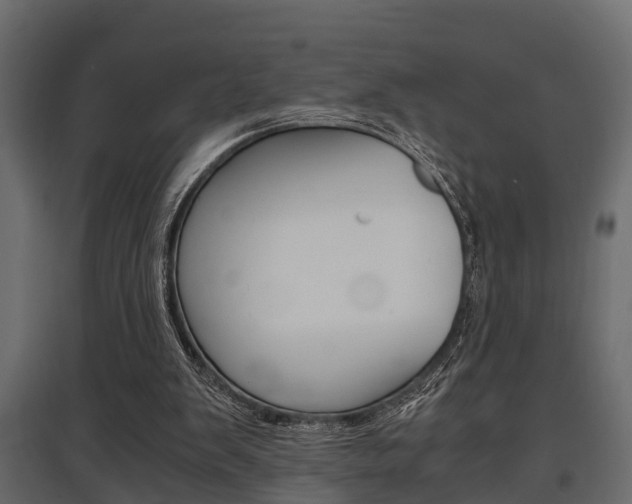 X0000097760103200803070846