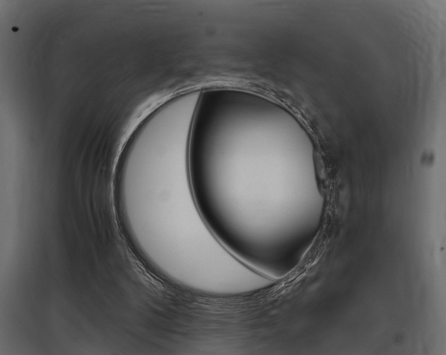 X0000097760104200803070846
