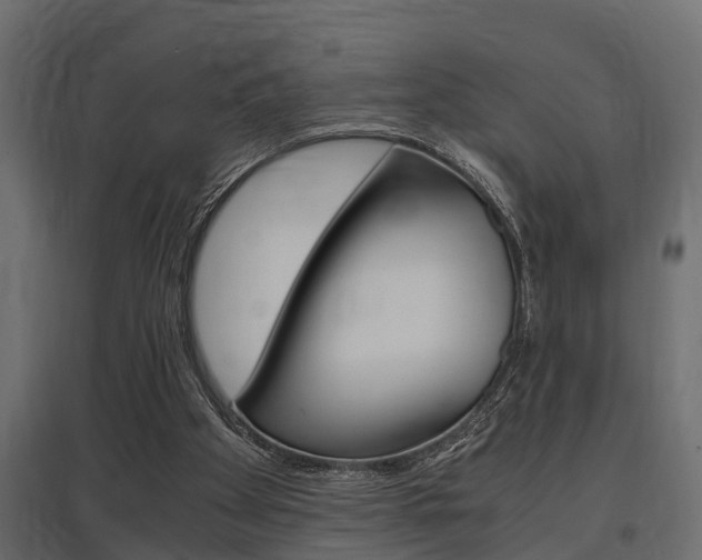 X0000097760105200803070846