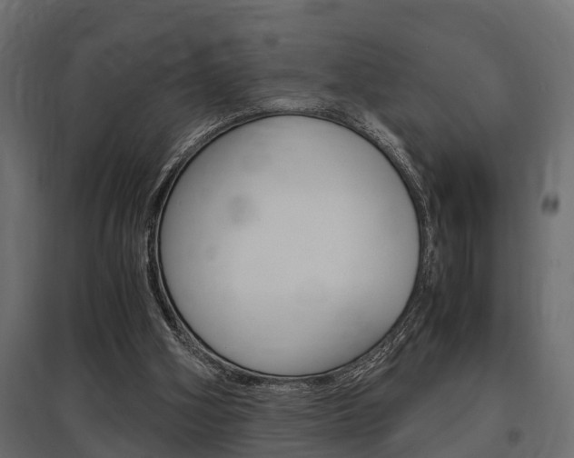 X0000097760106200803070846