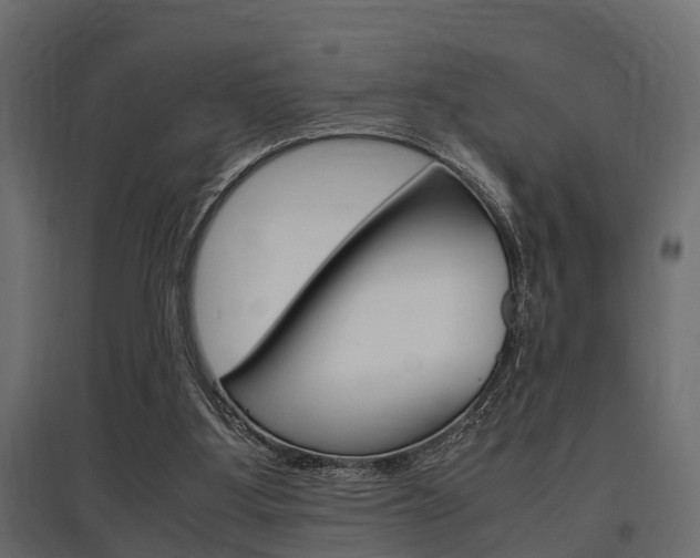 X0000097760107200803070846