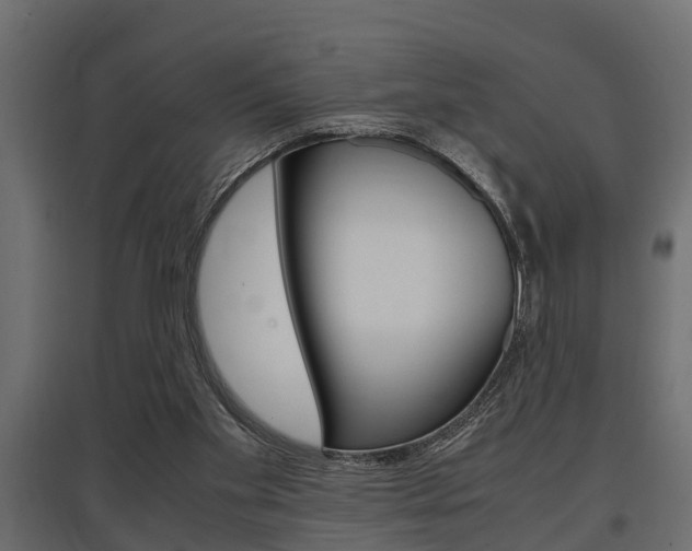 X0000097760109200803070846