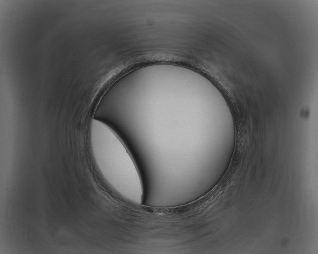 X0000097760111200803070846