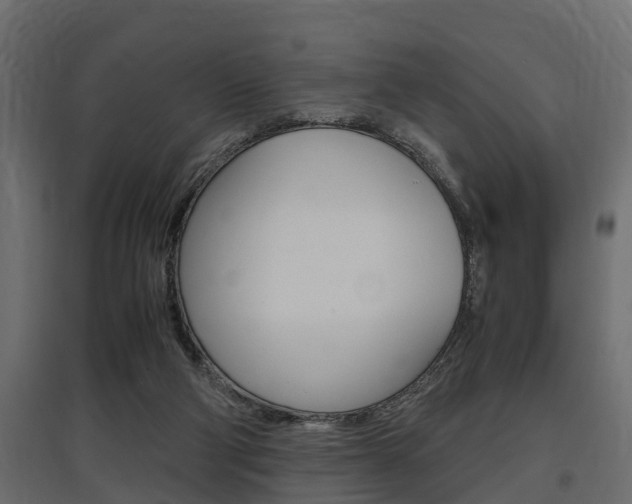 X0000097760114200803070846